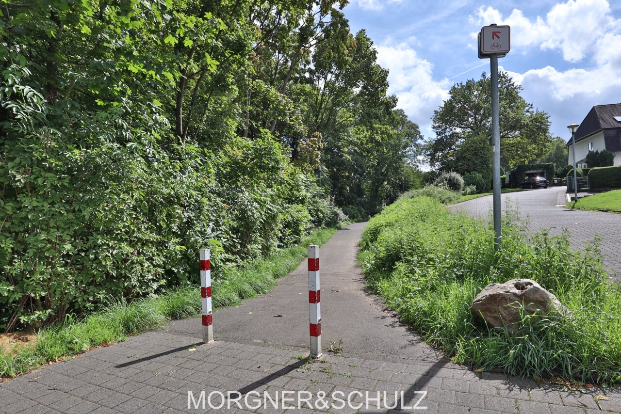 Fahrradweg und Waldstück